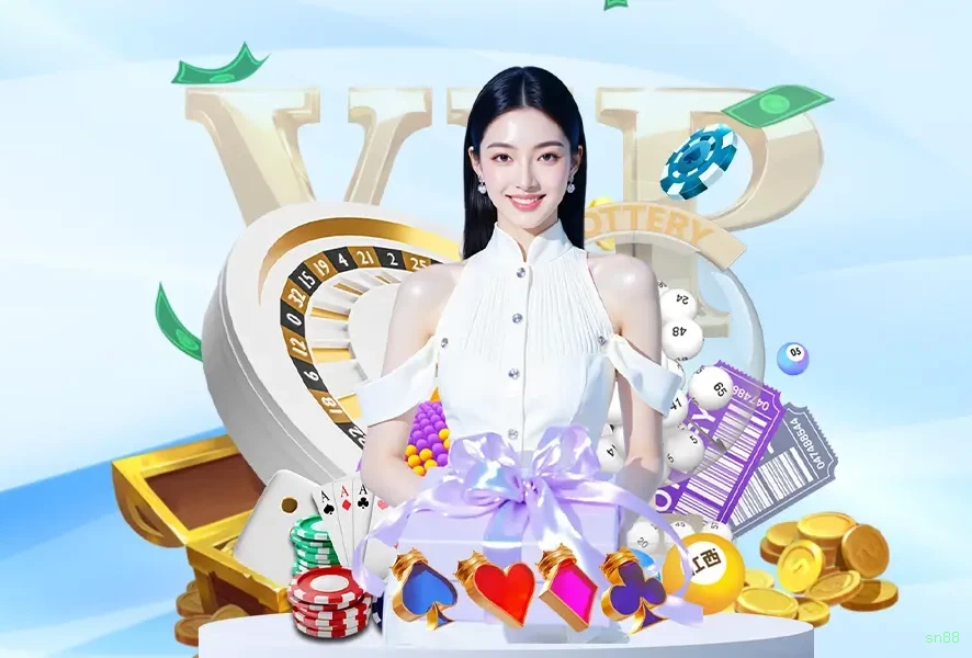 Checklist para avaliar a plataforma sn88